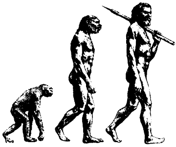 Жизнь на Земле. Естественная история - i_128.png