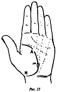 Полный курс хиромантии - i_015.png