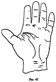 Полный курс хиромантии - i_036.png