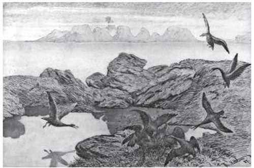 Волшебные сказки Норвегии - i_029.jpg