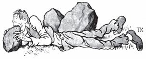 Волшебные сказки Норвегии - i_041.jpg