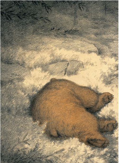 Волшебные сказки Норвегии - i_063.jpg