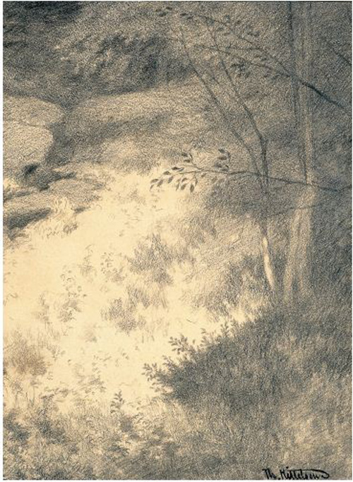 Волшебные сказки Норвегии - i_064.jpg