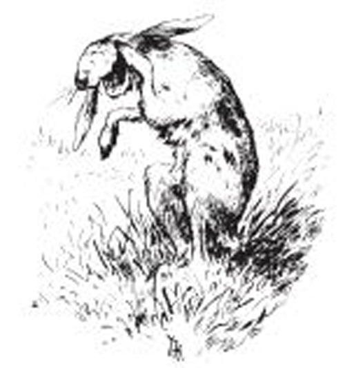 Волшебные сказки Норвегии - i_065.jpg