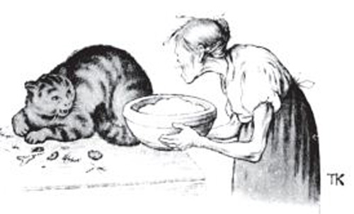 Волшебные сказки Норвегии - i_066.jpg