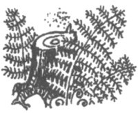 Изгнанник - i_016.jpg