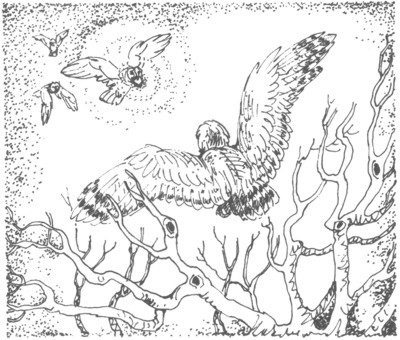 Изгнанник - i_057.jpg