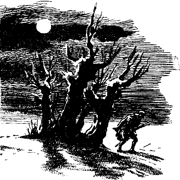 Хозяйка Блосхолма. В дебрях Севера - i_011.png