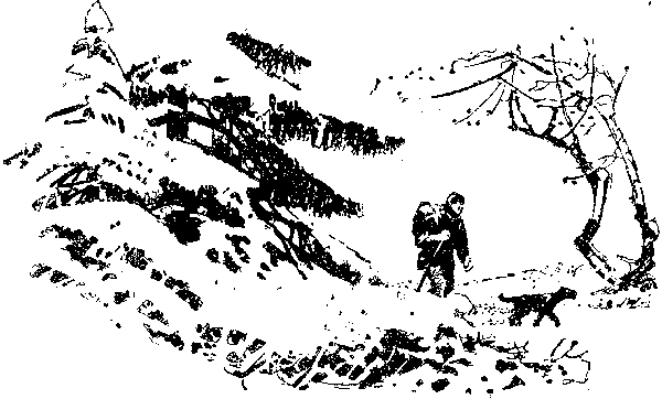 Хозяйка Блосхолма. В дебрях Севера - i_027.png