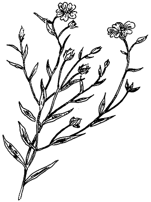 Чернильная кровь - i_003.png