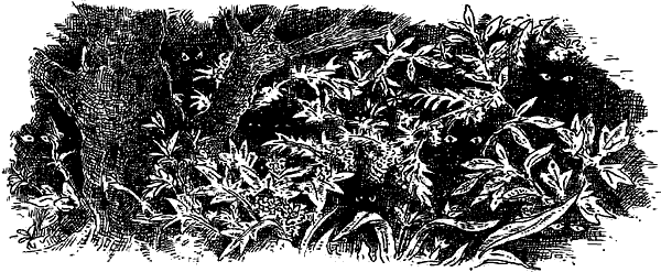 Чернильная кровь - i_006.png