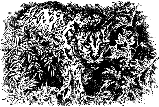 Чернильная кровь - i_019.png