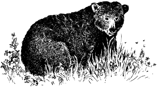 Чернильная кровь - i_027.png