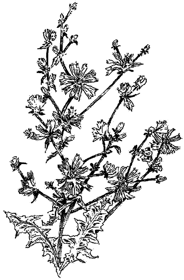 Чернильная кровь - i_028.png