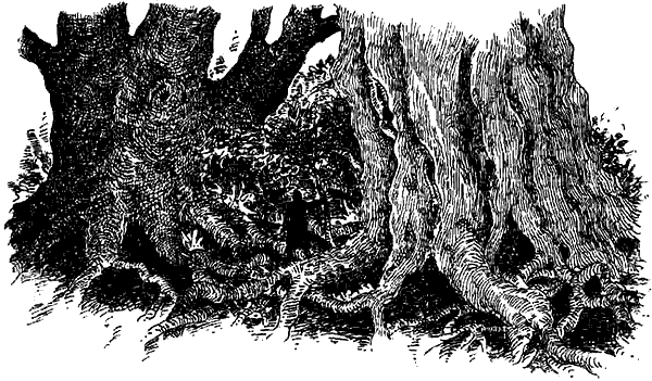 Чернильная кровь - i_030.png