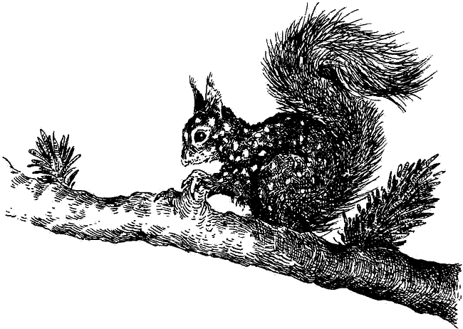 Чернильная кровь - i_031.png