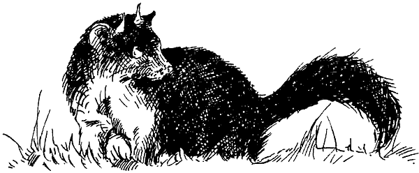 Чернильная кровь - i_037.png