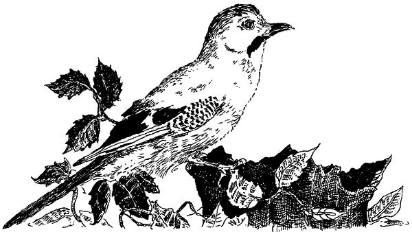 Чернильная кровь - i_040.png