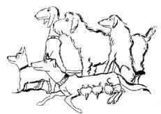 Ваш покорный слуга пёс Бутс - auto_fb_img_loader_1.jpeg