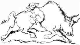 Ваш покорный слуга пёс Бутс - auto_fb_img_loader_16.jpeg