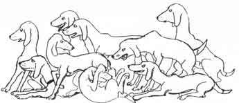 Ваш покорный слуга пёс Бутс - auto_fb_img_loader_18.jpeg