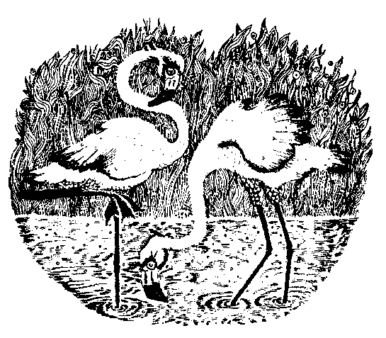 Сказки сельвы. Анаконда - any2fbimgloader1.png