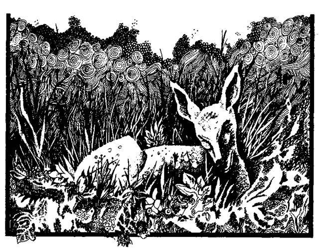 Сказки сельвы. Анаконда - any2fbimgloader12.jpeg