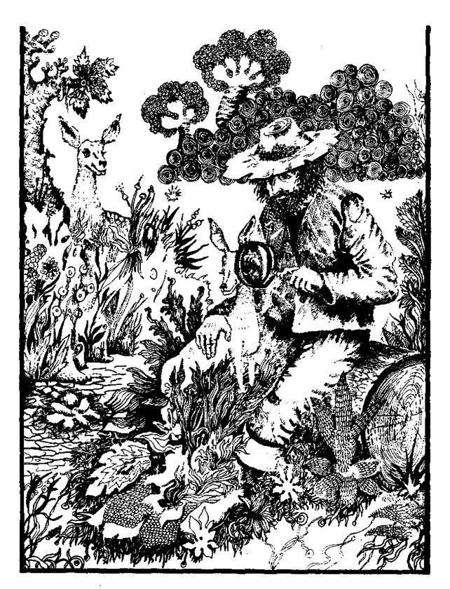 Сказки сельвы. Анаконда - any2fbimgloader13.jpeg