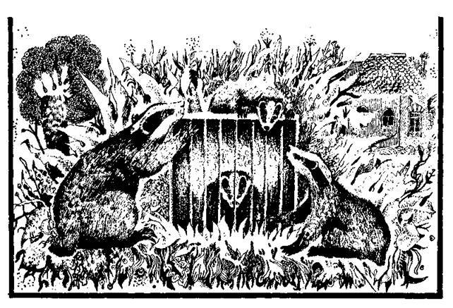 Сказки сельвы. Анаконда - any2fbimgloader15.jpeg