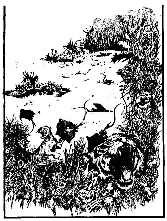 Сказки сельвы. Анаконда - any2fbimgloader18.jpeg