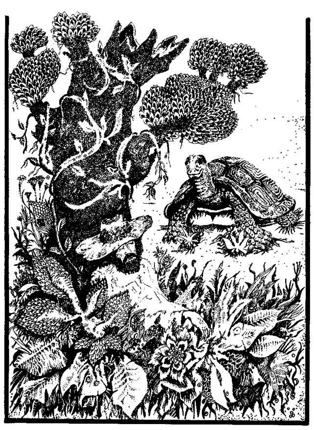 Сказки сельвы. Анаконда - any2fbimgloader3.jpeg