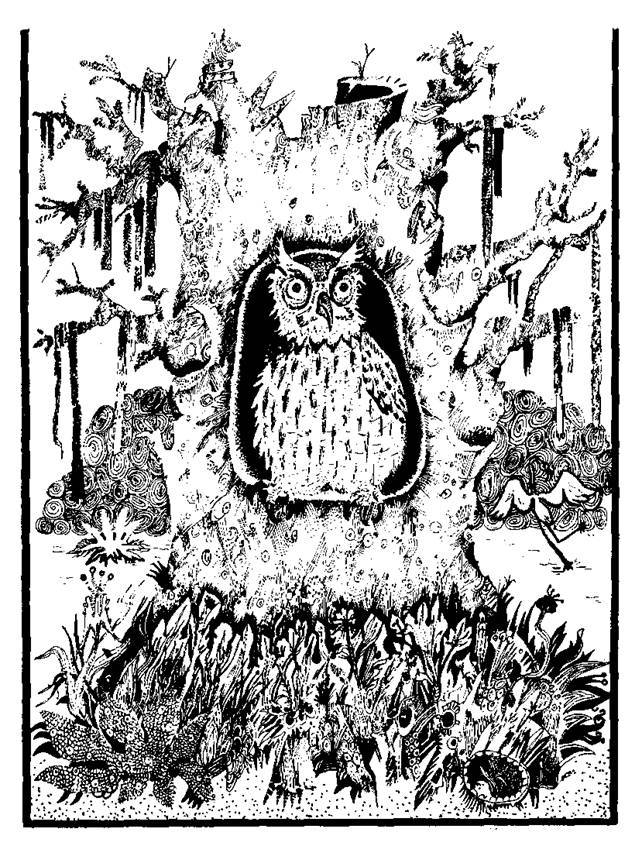 Сказки сельвы. Анаконда - any2fbimgloader5.jpeg