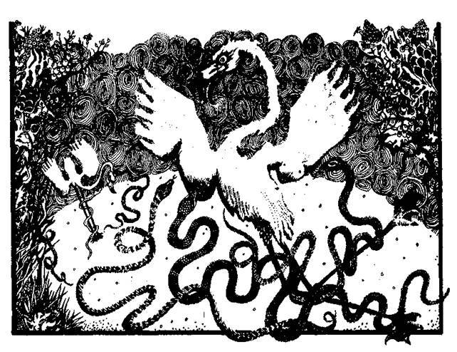 Сказки сельвы. Анаконда - any2fbimgloader6.jpeg