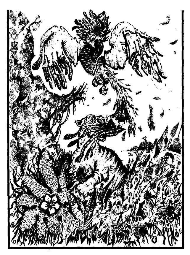 Сказки сельвы. Анаконда - any2fbimgloader7.jpeg