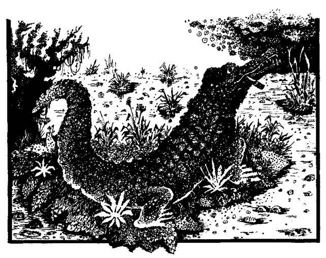 Сказки сельвы. Анаконда - any2fbimgloader9.jpeg