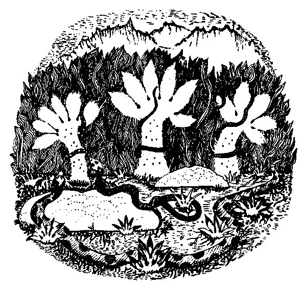 Сказки сельвы. Анаконда - any2fbimgloader23.png