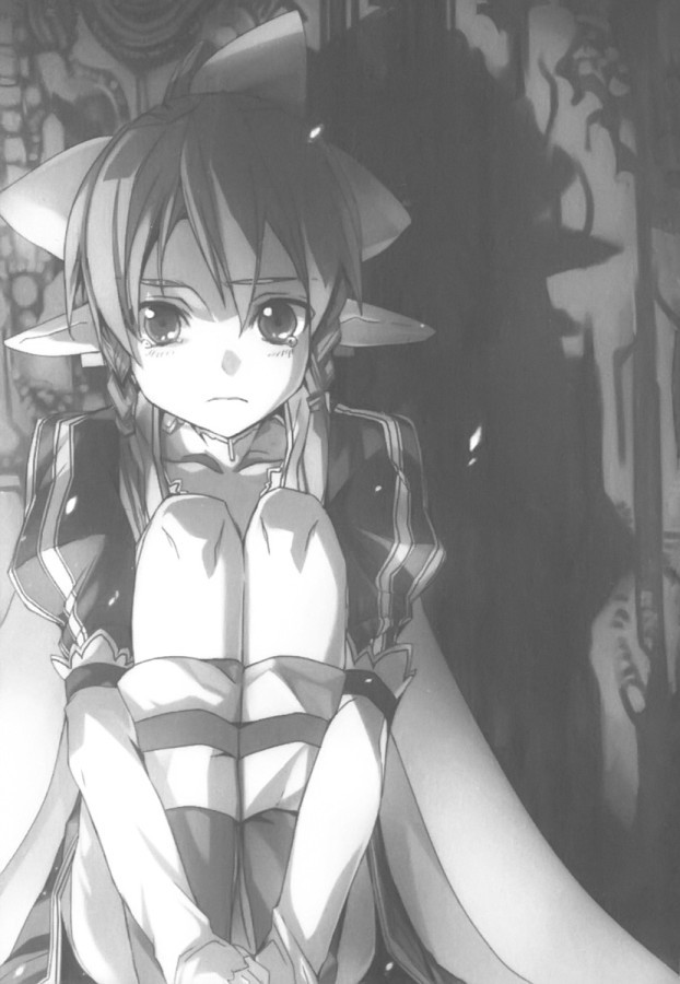 Sword Art Online. Том 4 - Танец фей - Sword_Art_Online_Vol_04_p027.jpg