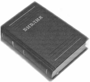 «Несвятые святые» и другие рассказы - _7.jpg