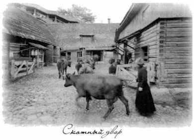 «Несвятые святые» и другие рассказы - _66.jpg