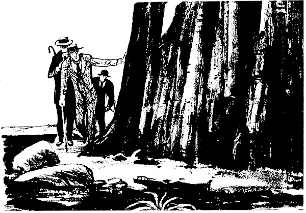 Львиная грива - i_002.png