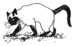 Новый мальчик - i_005.png