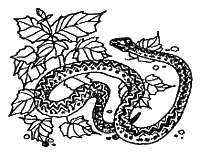 Новый мальчик - i_007.png