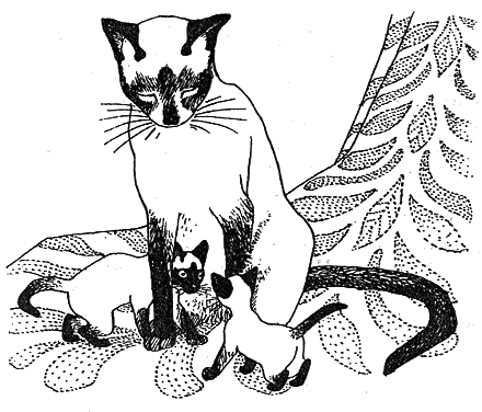 Новый мальчик - i_008.png