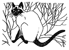 Новый мальчик - i_009.png