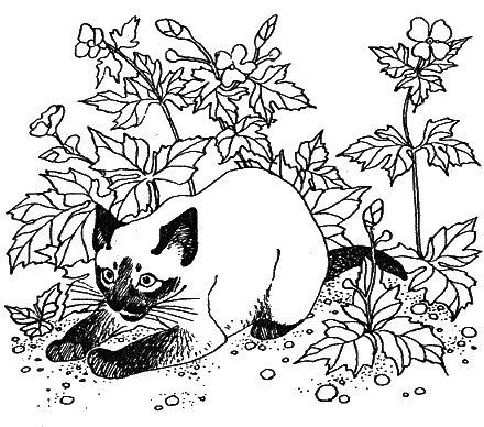 Новый мальчик - i_010.png