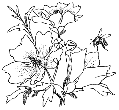 Новый мальчик - i_016.png