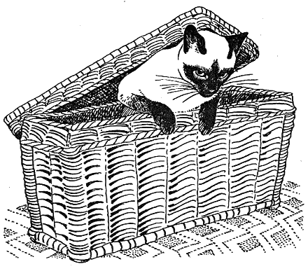 Новый мальчик - i_026.png