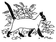 Новый мальчик - i_027.png