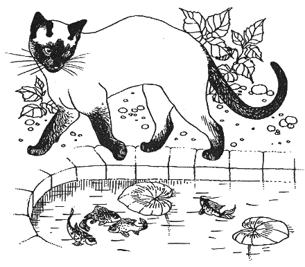 Новый мальчик - i_028.png