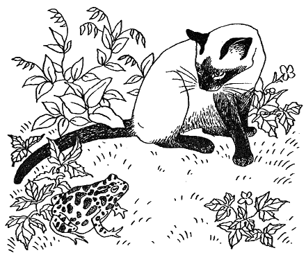 Новый мальчик - i_032.png